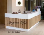 9011 Karşılama Banko